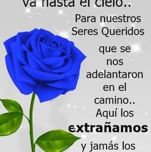 Meet your Posher, Rafael